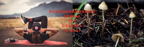 стафф Балабаново