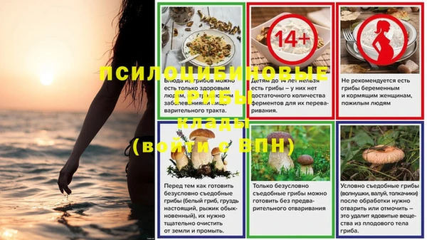 стафф Балабаново