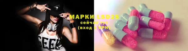 стаф Баксан