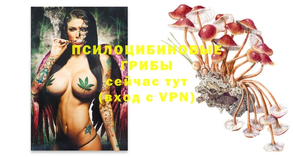 стаф Баксан
