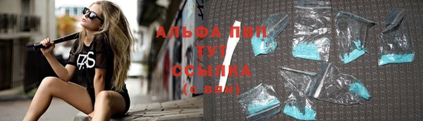 стаф Баксан